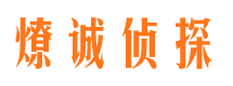 鲤城市侦探